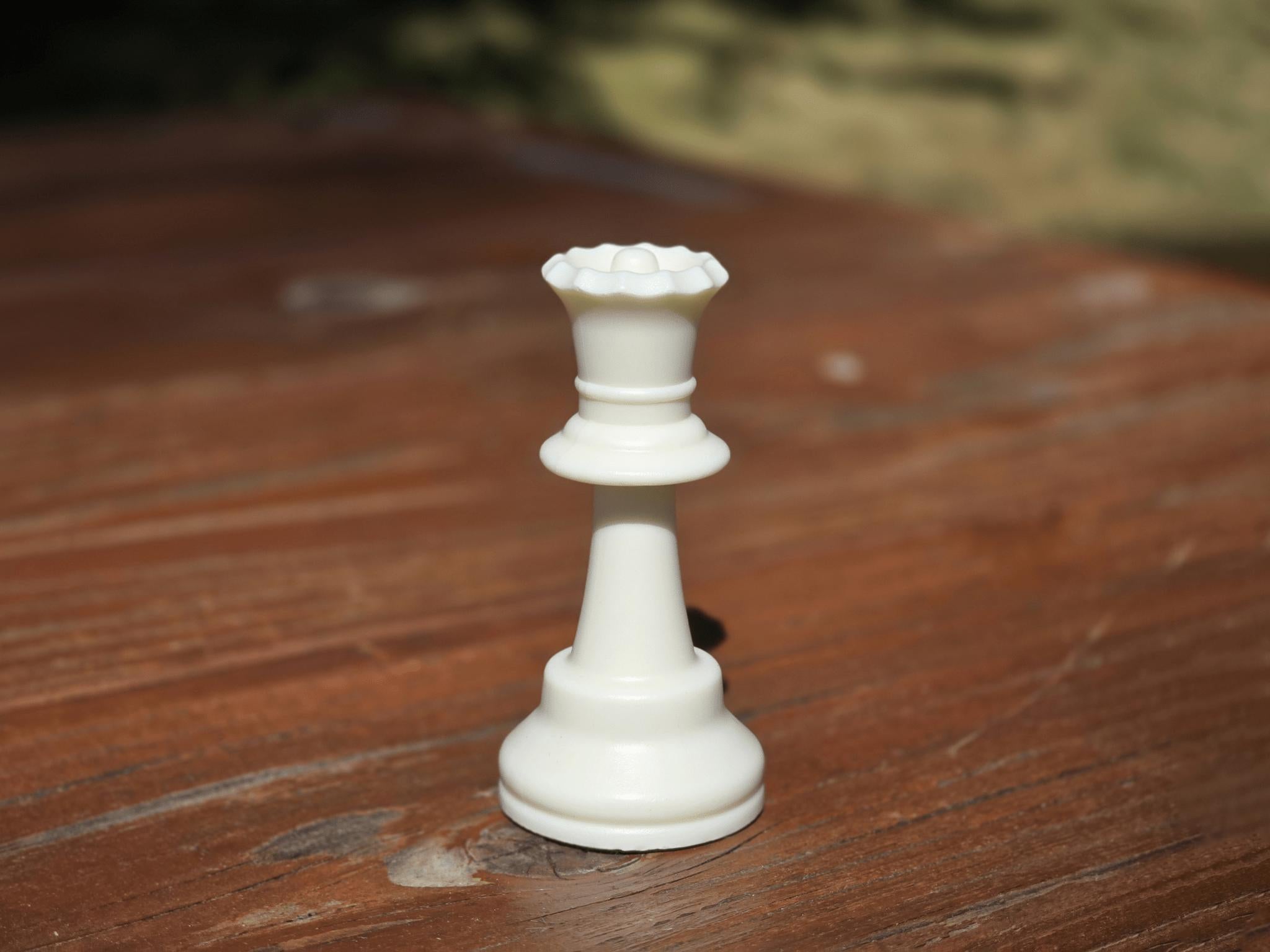 White Queen on Wooden Park Bench