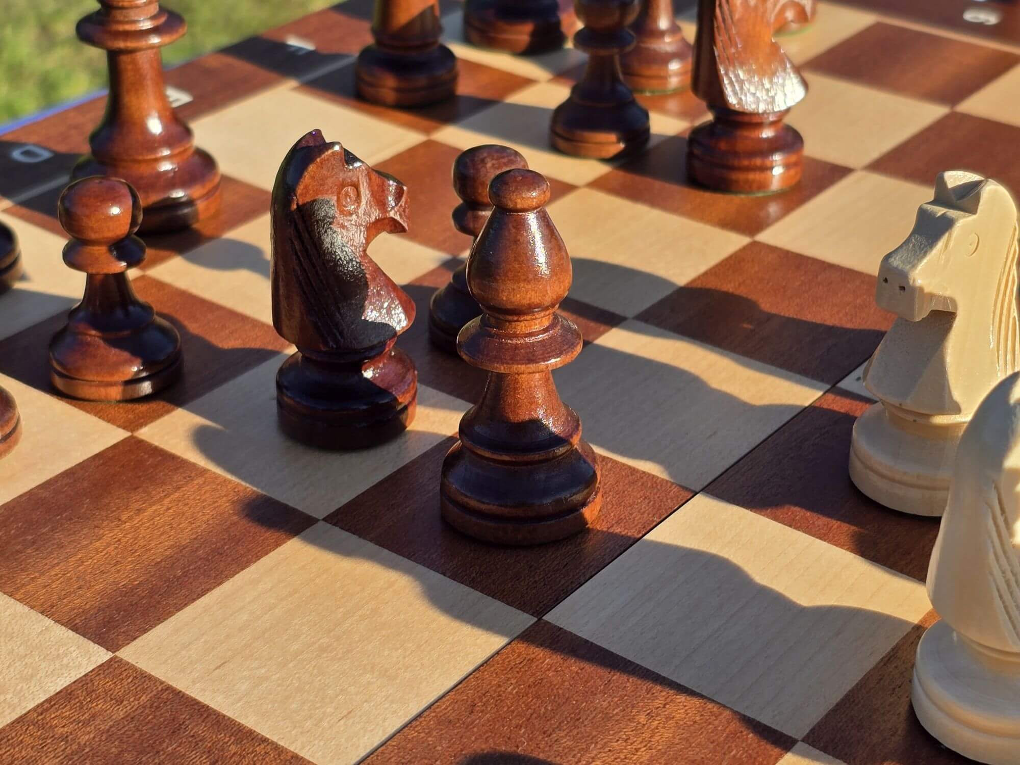 Close-up showcase of the dark wooden bishop piece on the Aristocrat chess board.