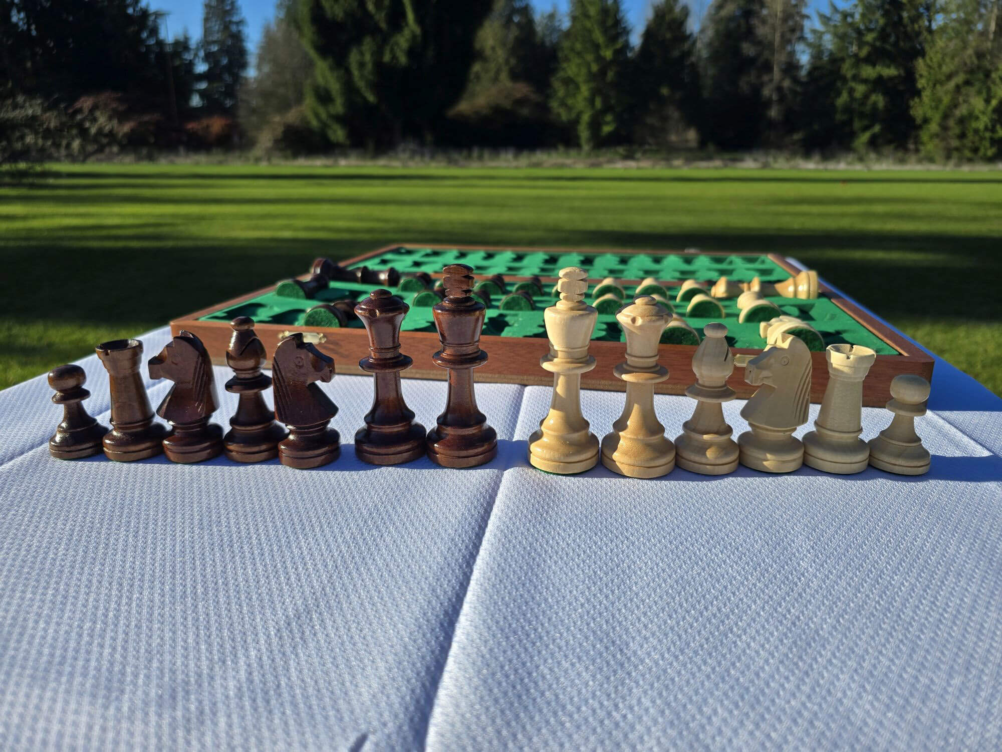 Complete set of light and dark wooden chess pieces arranged on a grassy field backdrop.