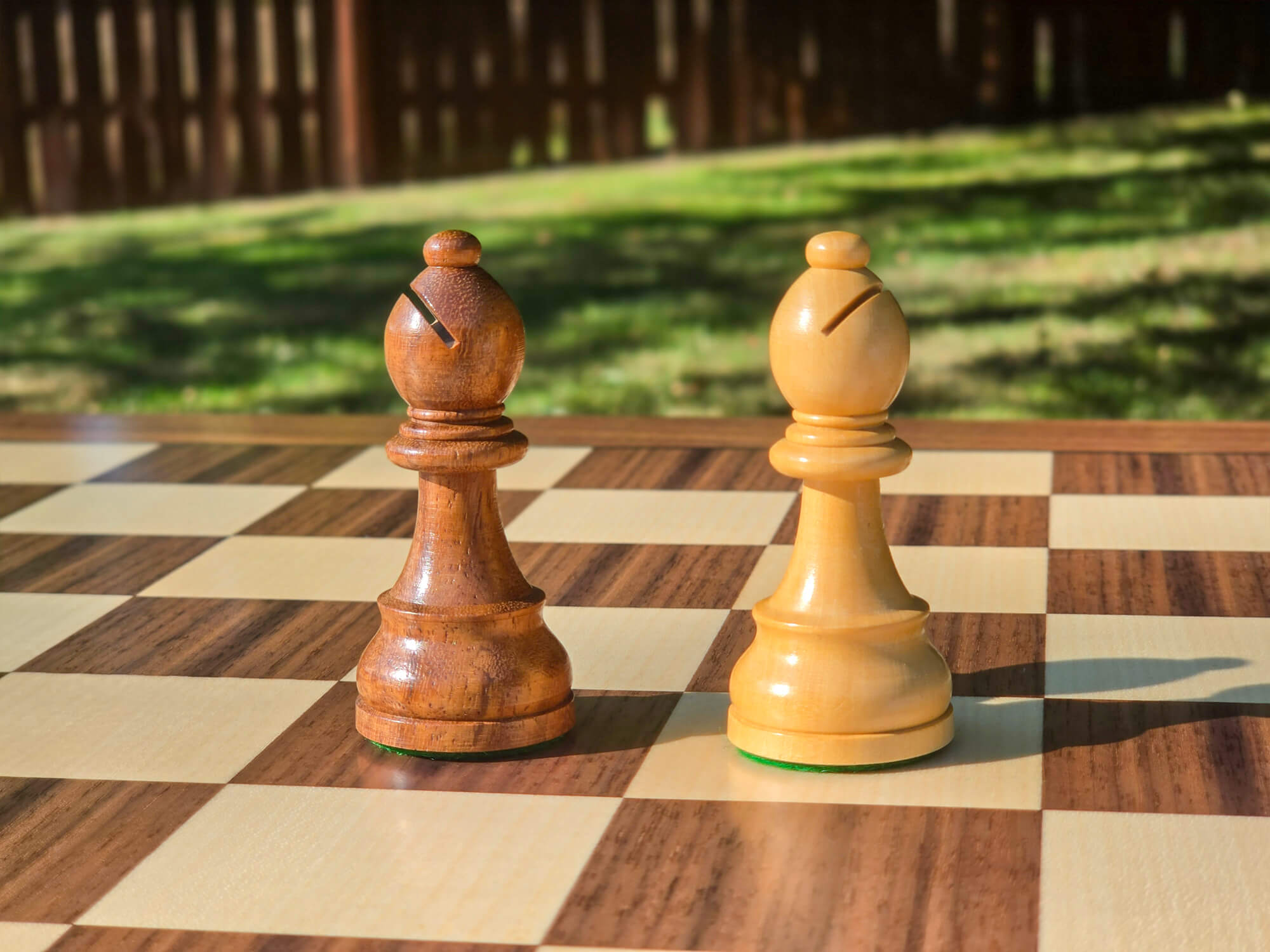 Pair of dark and light wooden Bishop chess pieces from the DGT Timeless collection standing on a wooden chess board with a nature background.