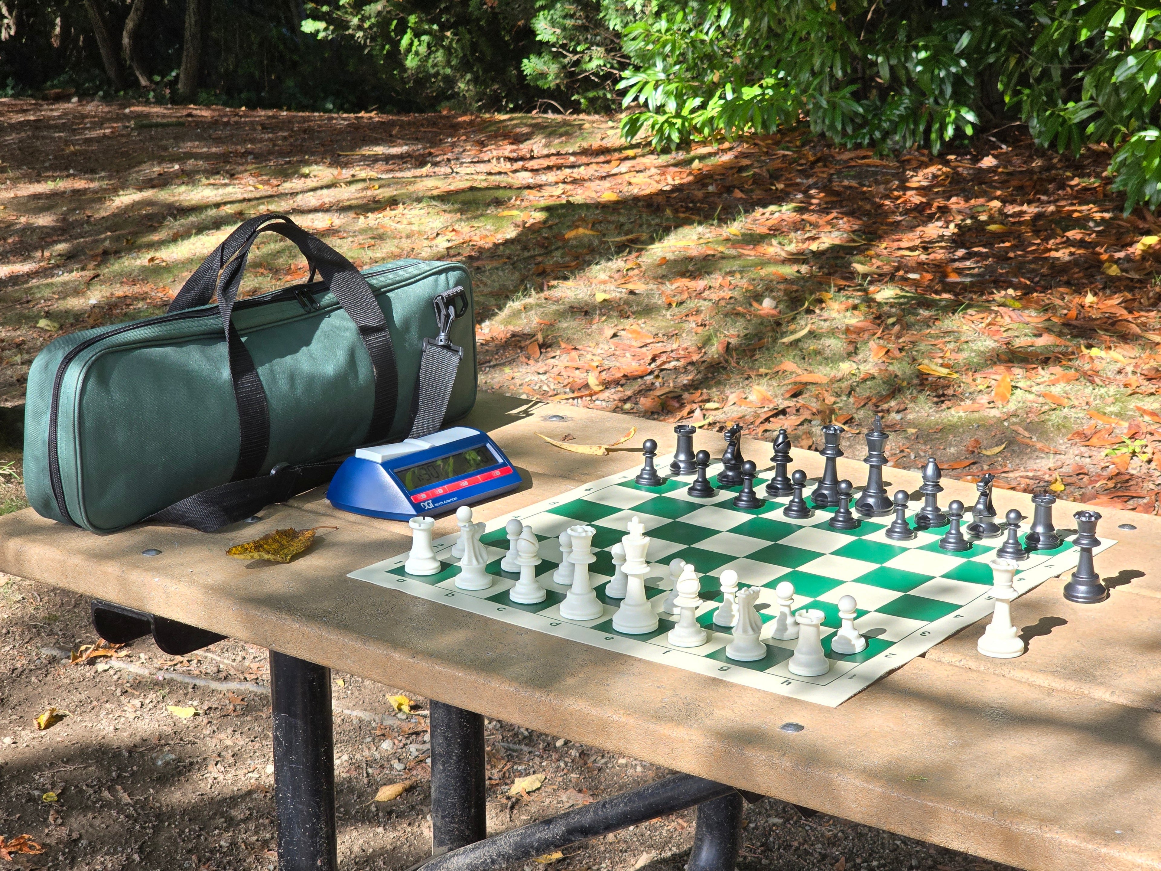 Chess Sets & Bundles