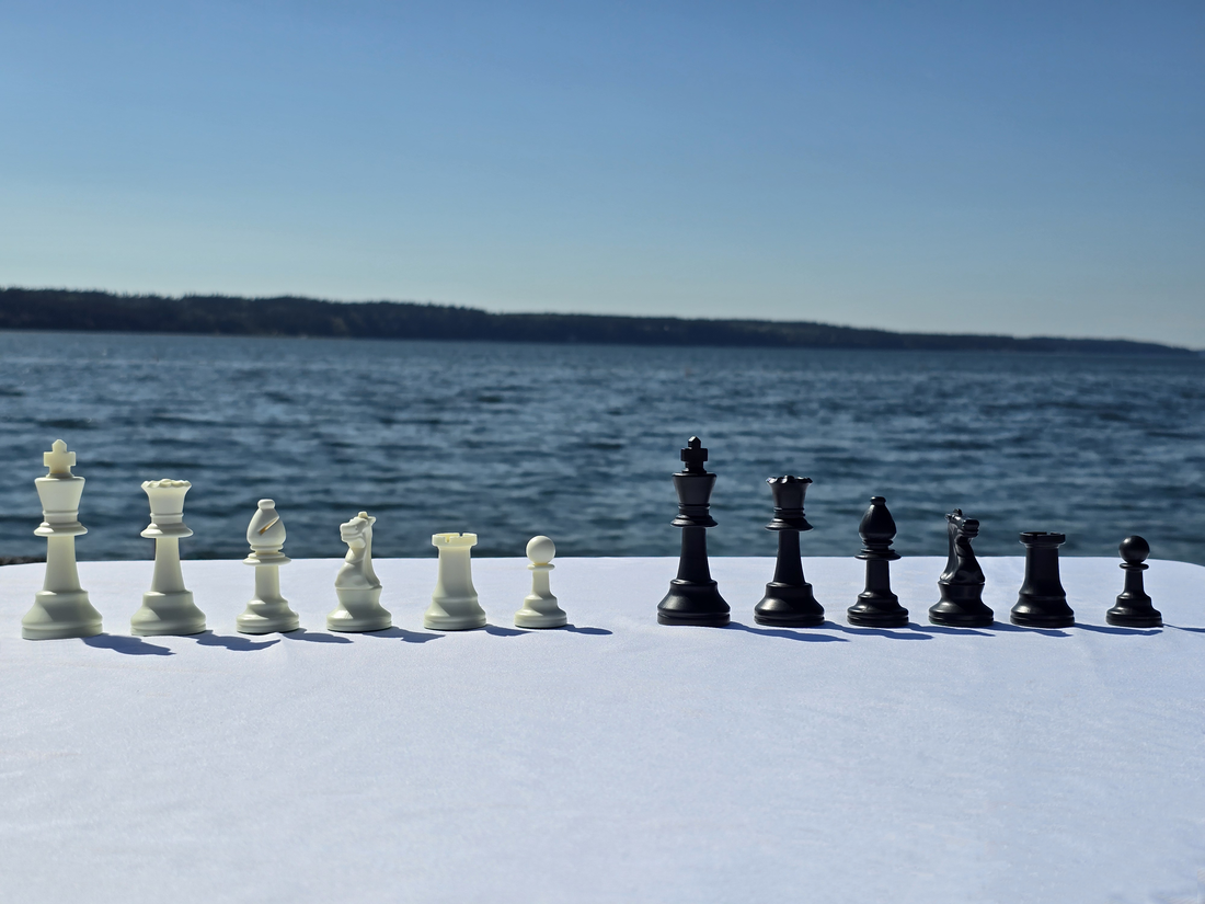 Chess Pieces Lined Up in a Row by Height on a White Cloth Table by the Sea