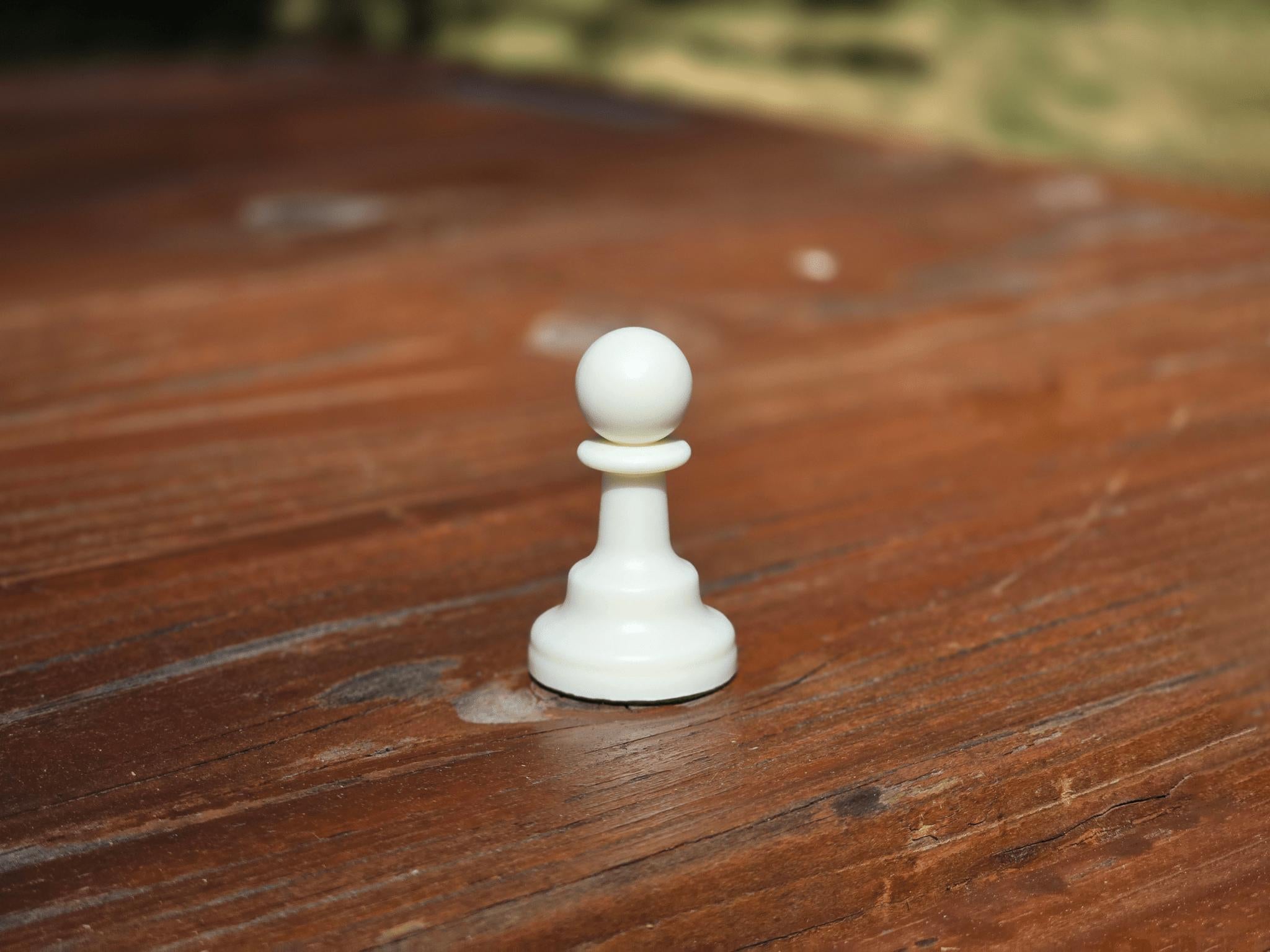 White Pawn on Wooden Park Bench