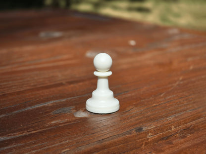 White Pawn on Wooden Park Bench