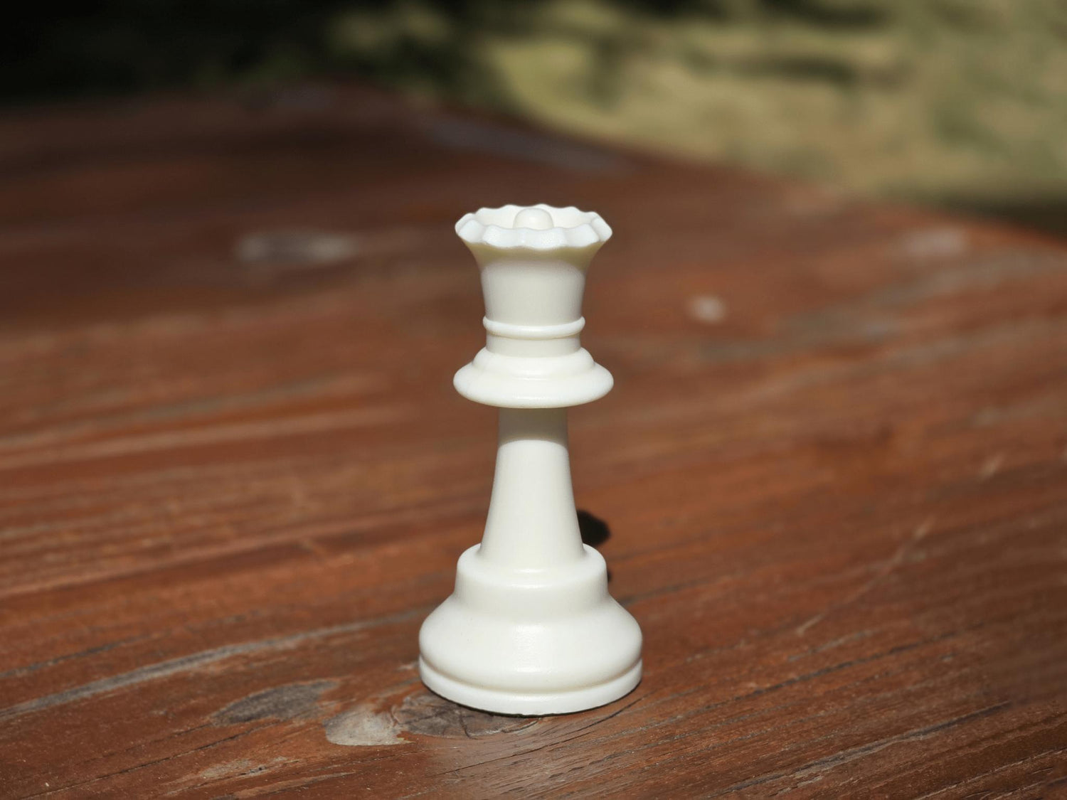White Queen on Wooden Park Bench