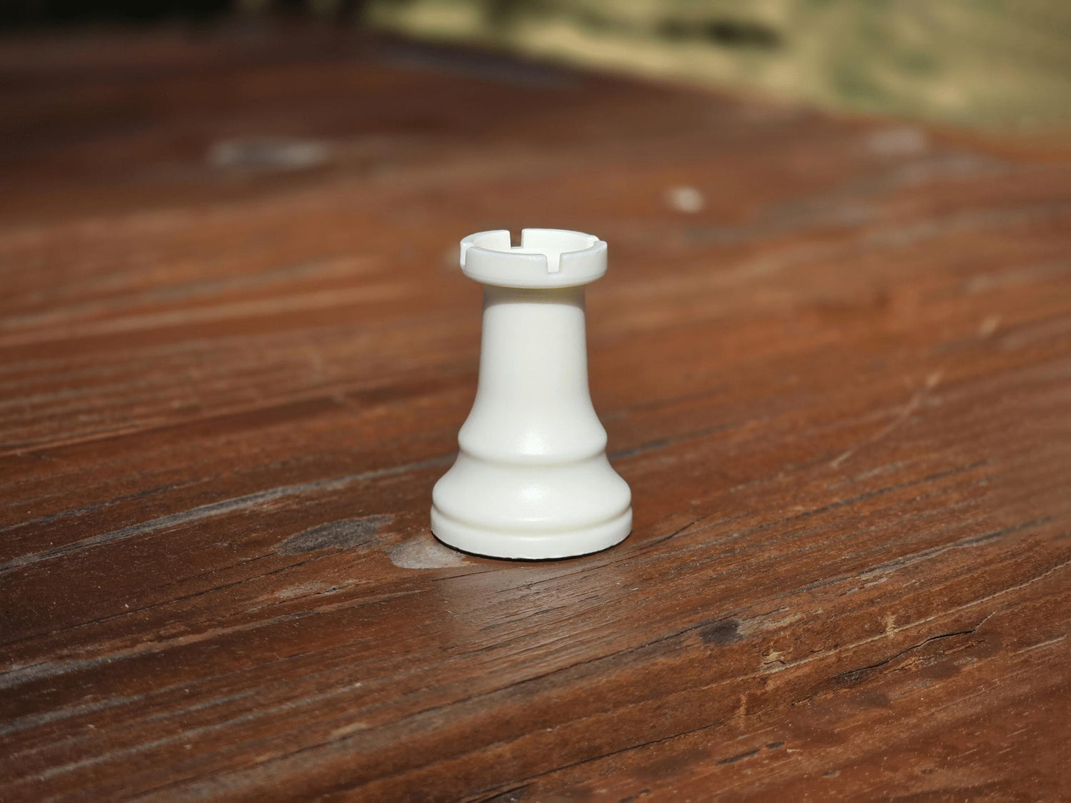 White Rook on Wooden Park Bench