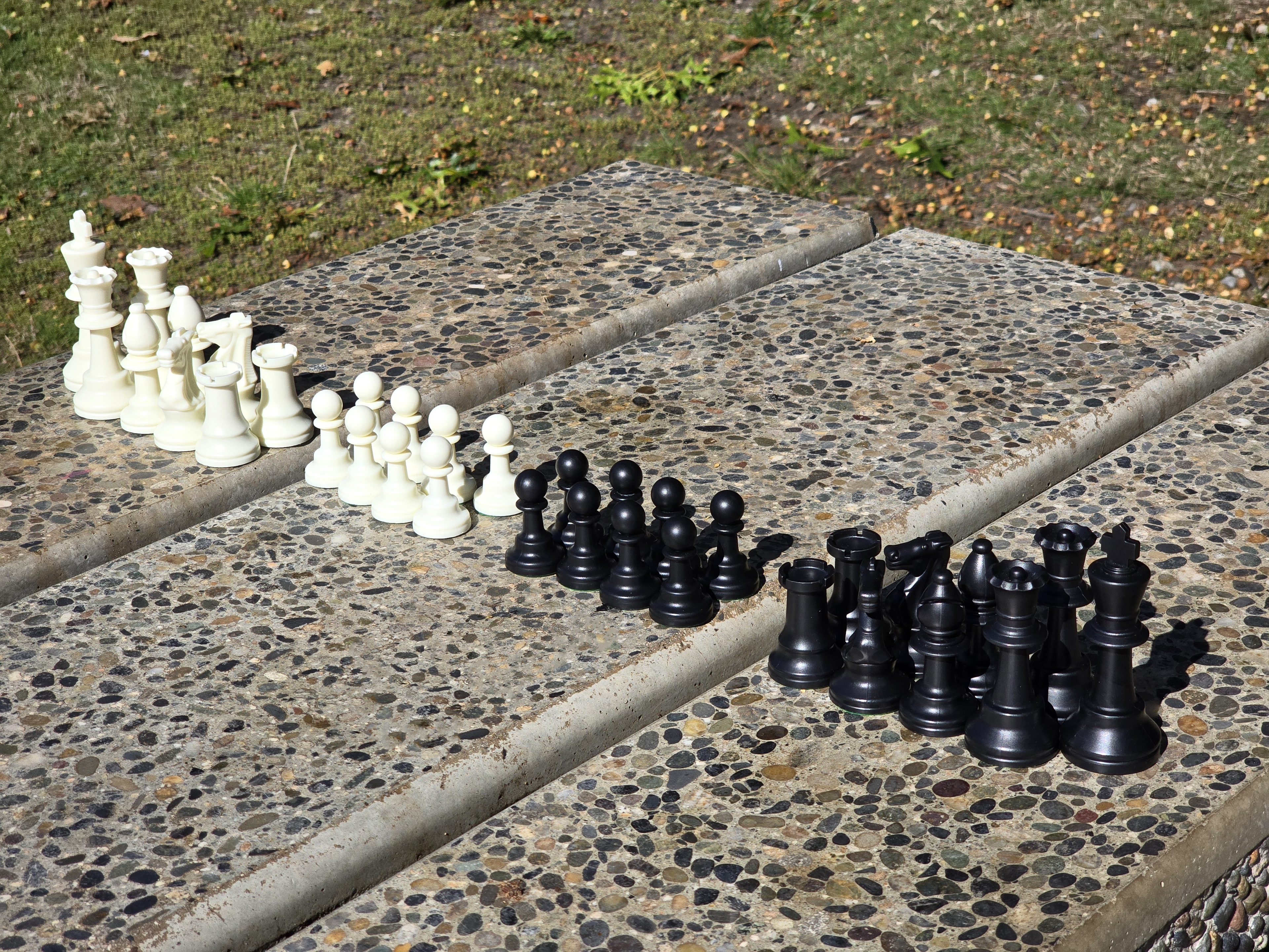 White and Black Chess Pieces in Pairs in a Line on a Stone Bench