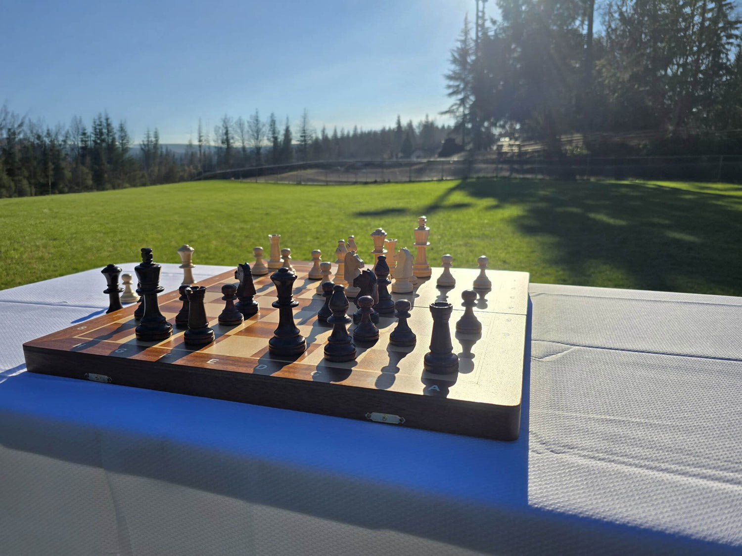 Aristocrat folding wooden chess set beautifully set up on a park table with a scenic green grass field backdrop.