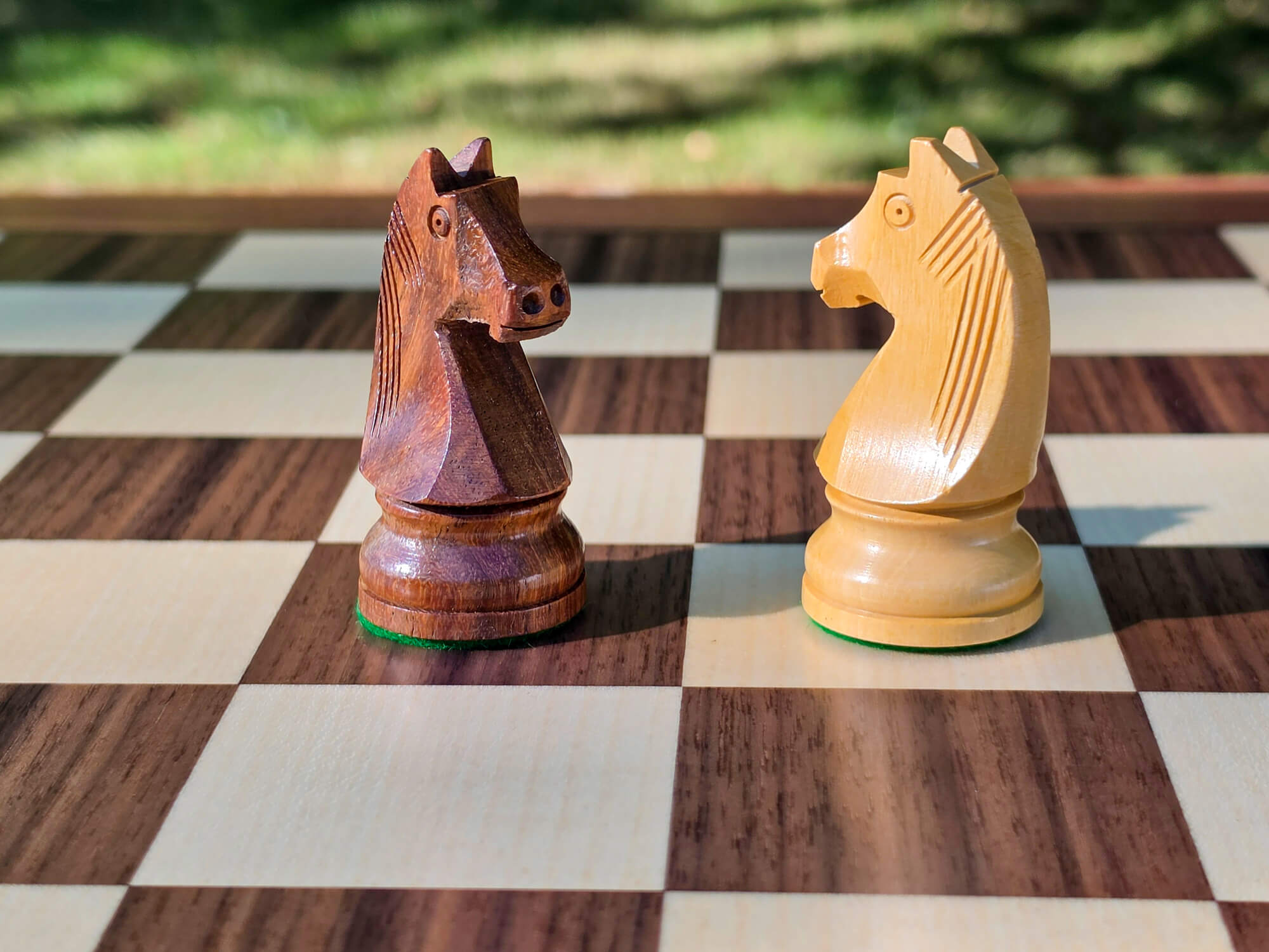 Detailed close-up of the handcrafted dark and light wooden Knight pieces from the DGT Timeless Staunton chess set with a nature background.