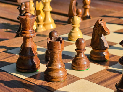 Warm outdoor shot focusing closely on the back-row pieces of a DGT Timeless chess set on a wooden board with a nature background.
