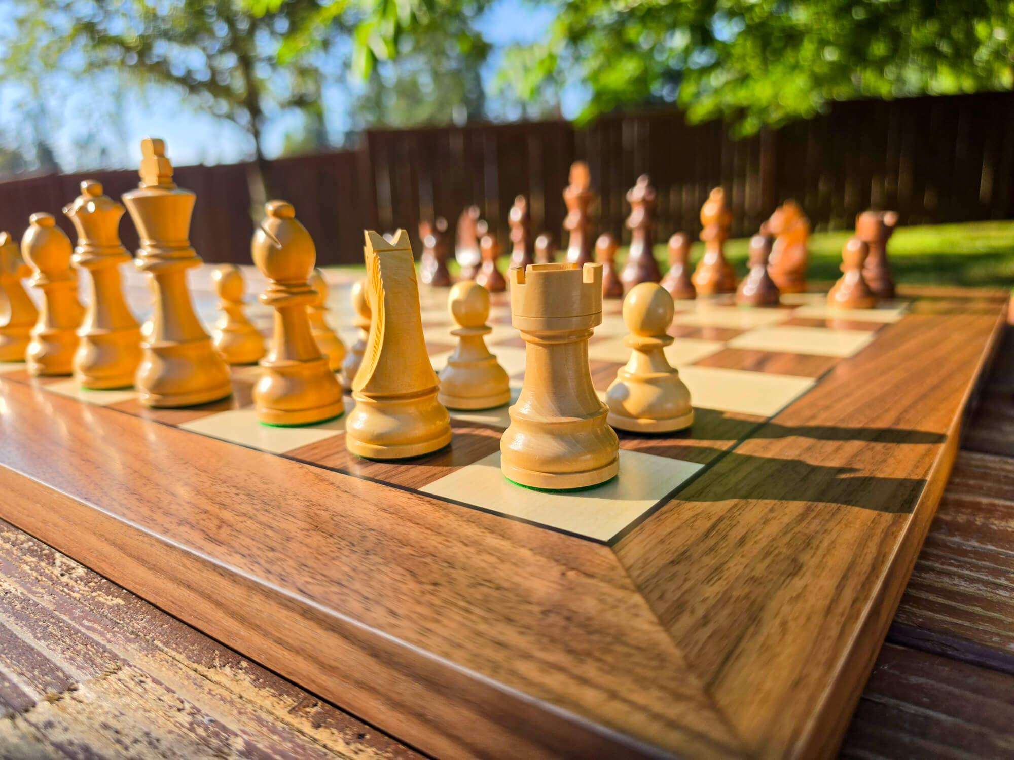Low-angle perspective looking across the white pieces of the DGT Timeless electronic chess set on a wooden board with a nature background.