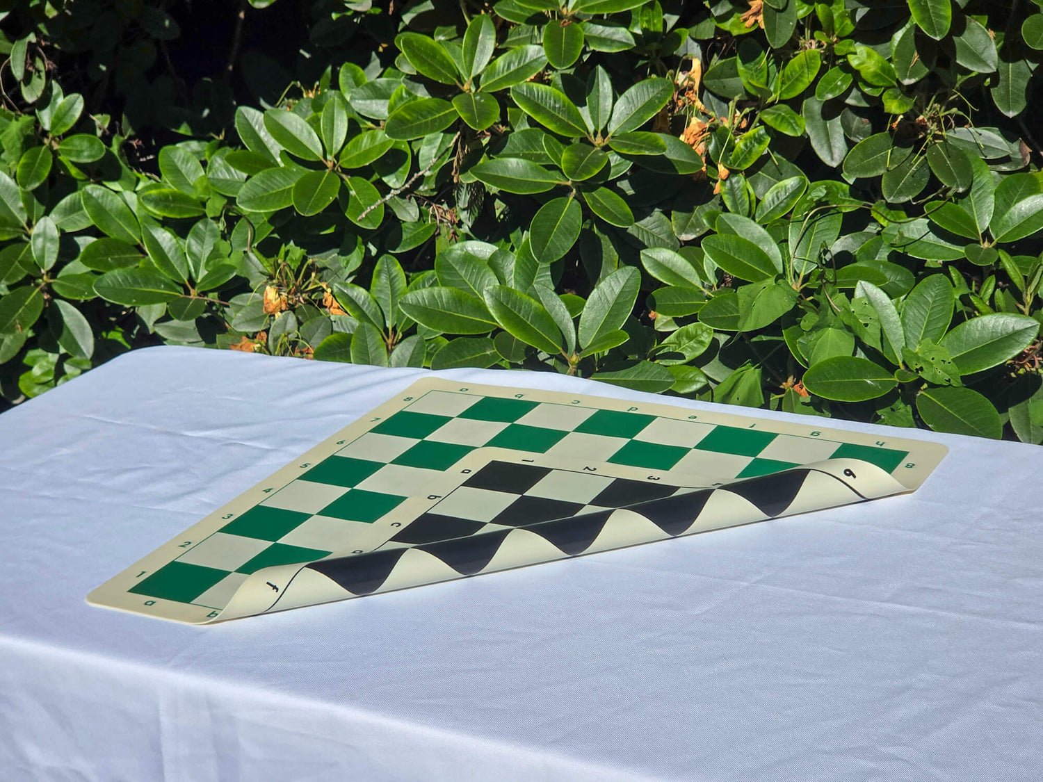 Folded double-sided silicone chess board showing both green and black playing surfaces on an outdoor table with a nature background.