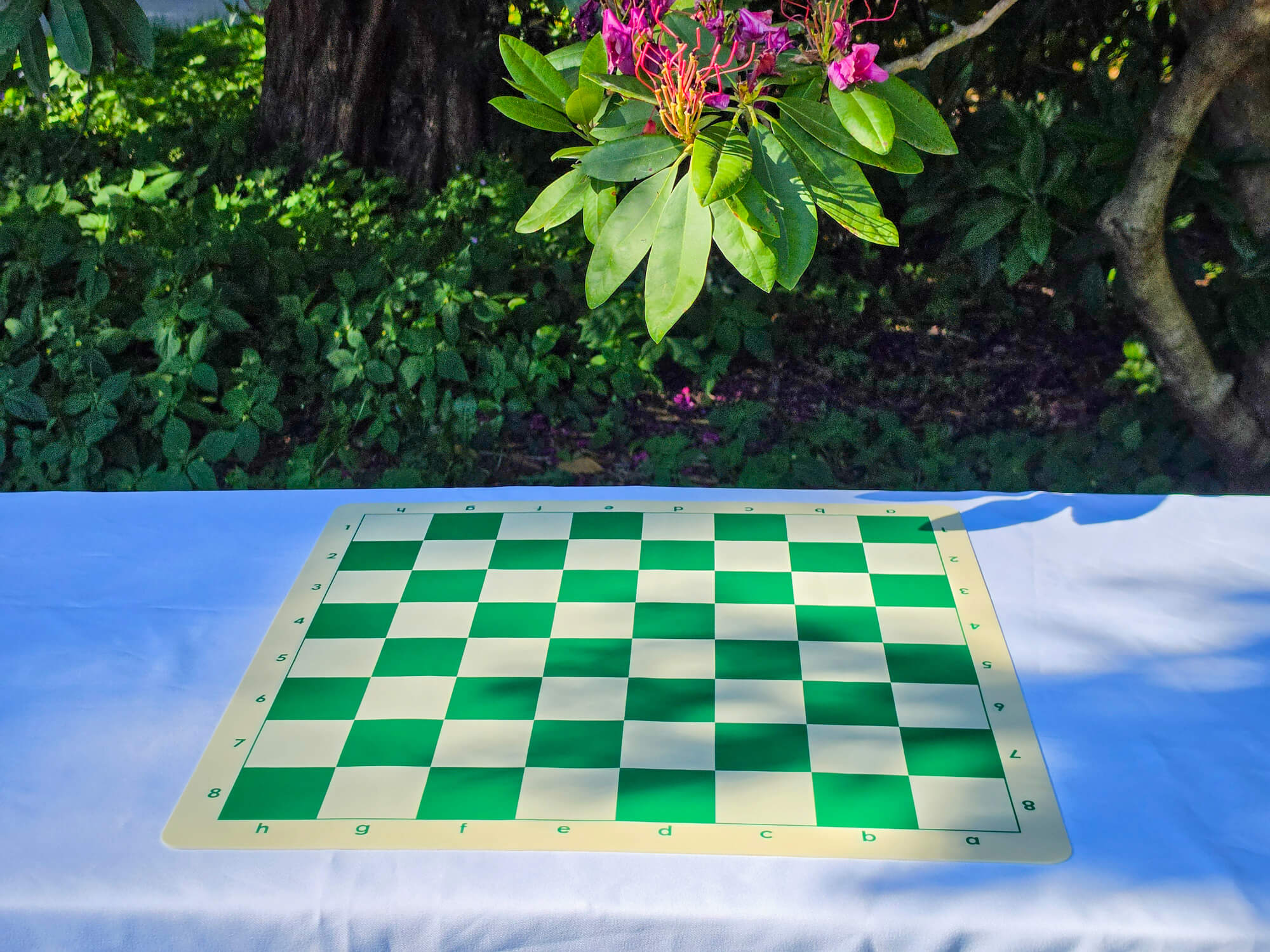 Double-sided silicone chess board laying flat on its green and white side on an outdoor table with a nature background.