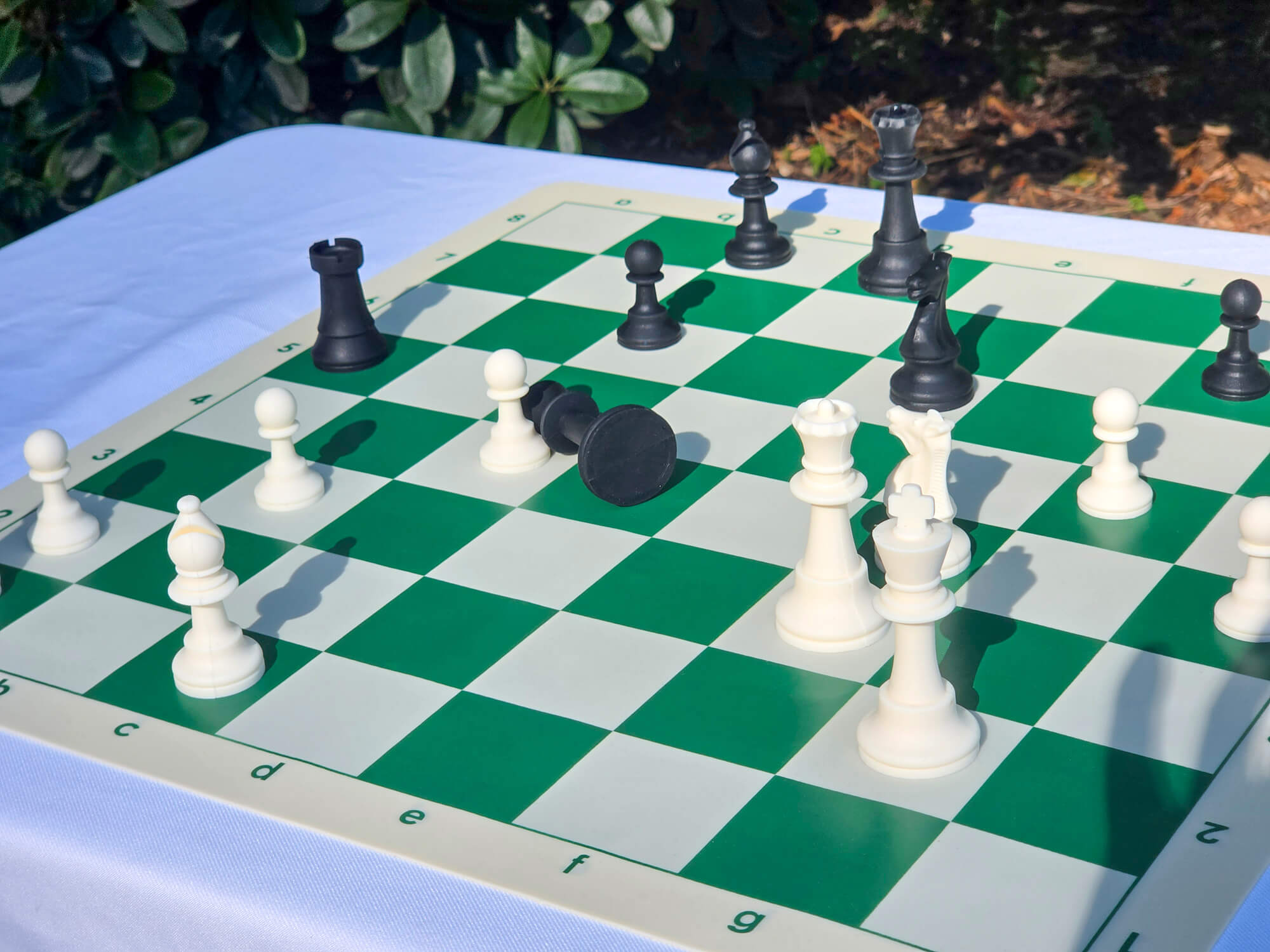 Overhead dynamic angle of a double-sided silicone chess board set up on the green side with chessmen.