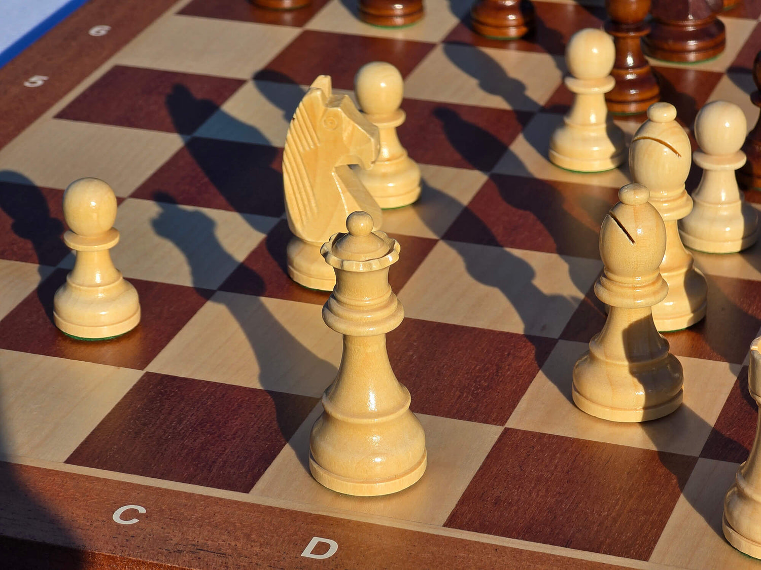Close-up of the white queen and knight from the Monarch wooden chess set on a mahogany and maple board, featuring warm natural lighting and detailed wood grain.