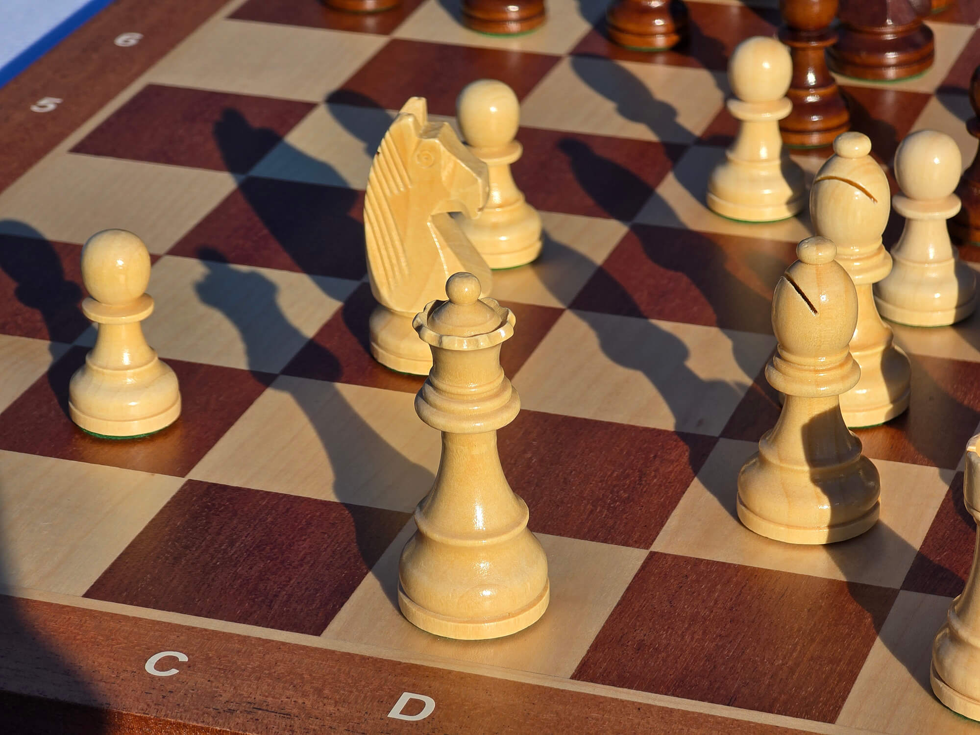Close-up of the white queen and knight from the Monarch wooden chess set on a mahogany and maple board, featuring warm natural lighting and detailed wood grain.