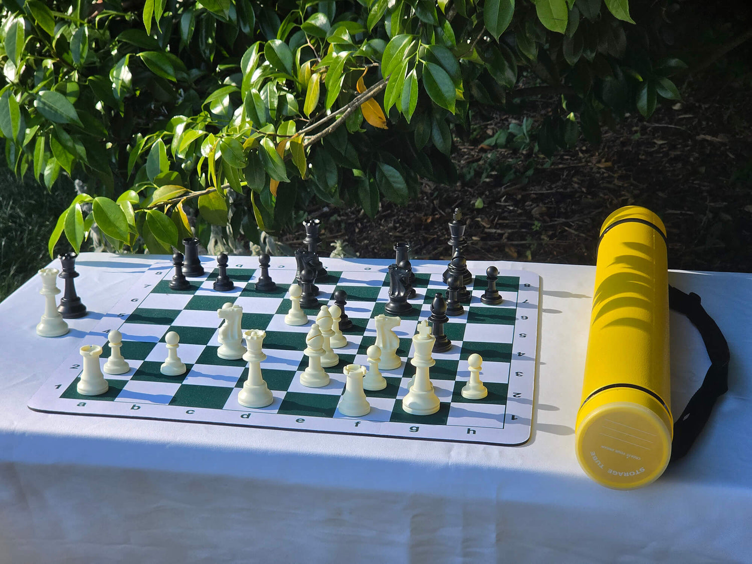 Close-up perspective of a green and white mousepad chess board with plastic pieces next to a protective yellow Sentry chess tube.