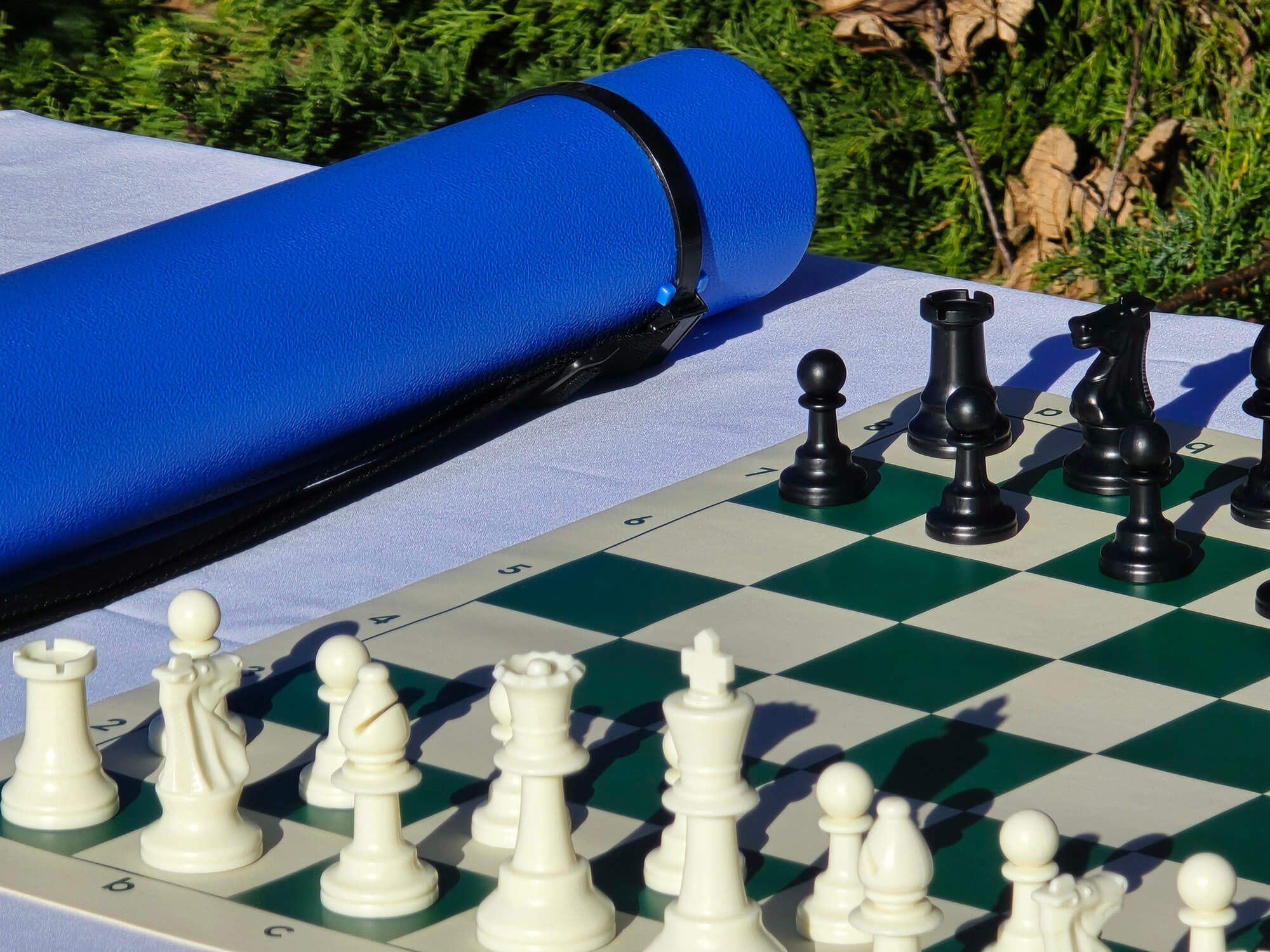 Close-up of a blue Sentry chess tube and a green and white vinyl roll-up chess board with Staunton pieces.