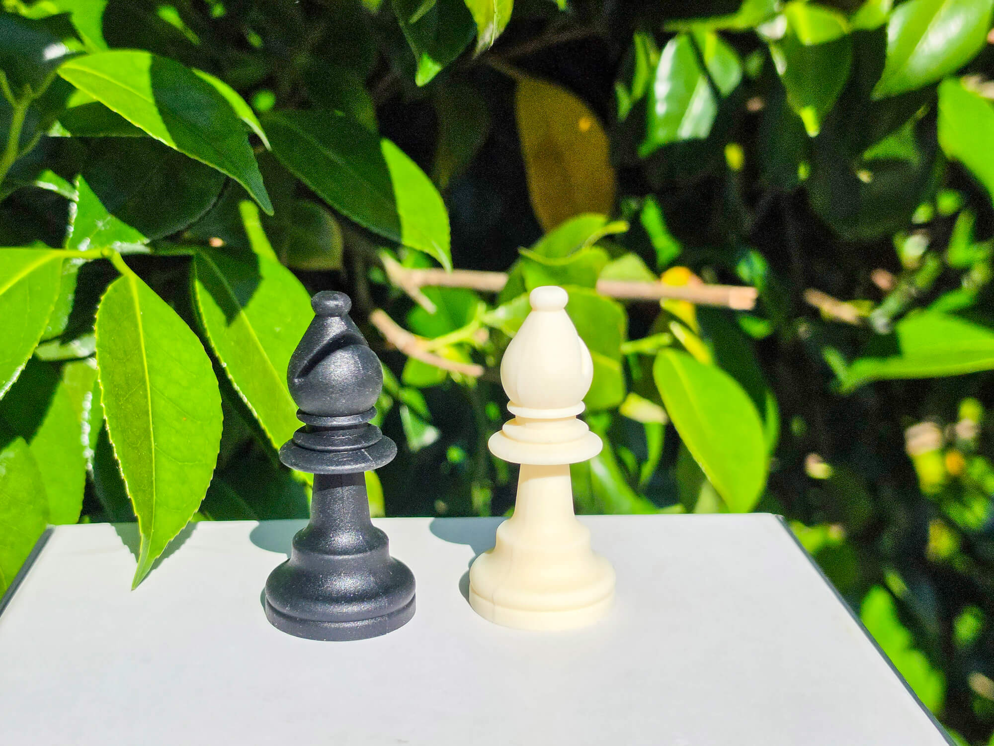 Close-up view of black and white silicone chess bishop pieces with natural outdoor lighting.