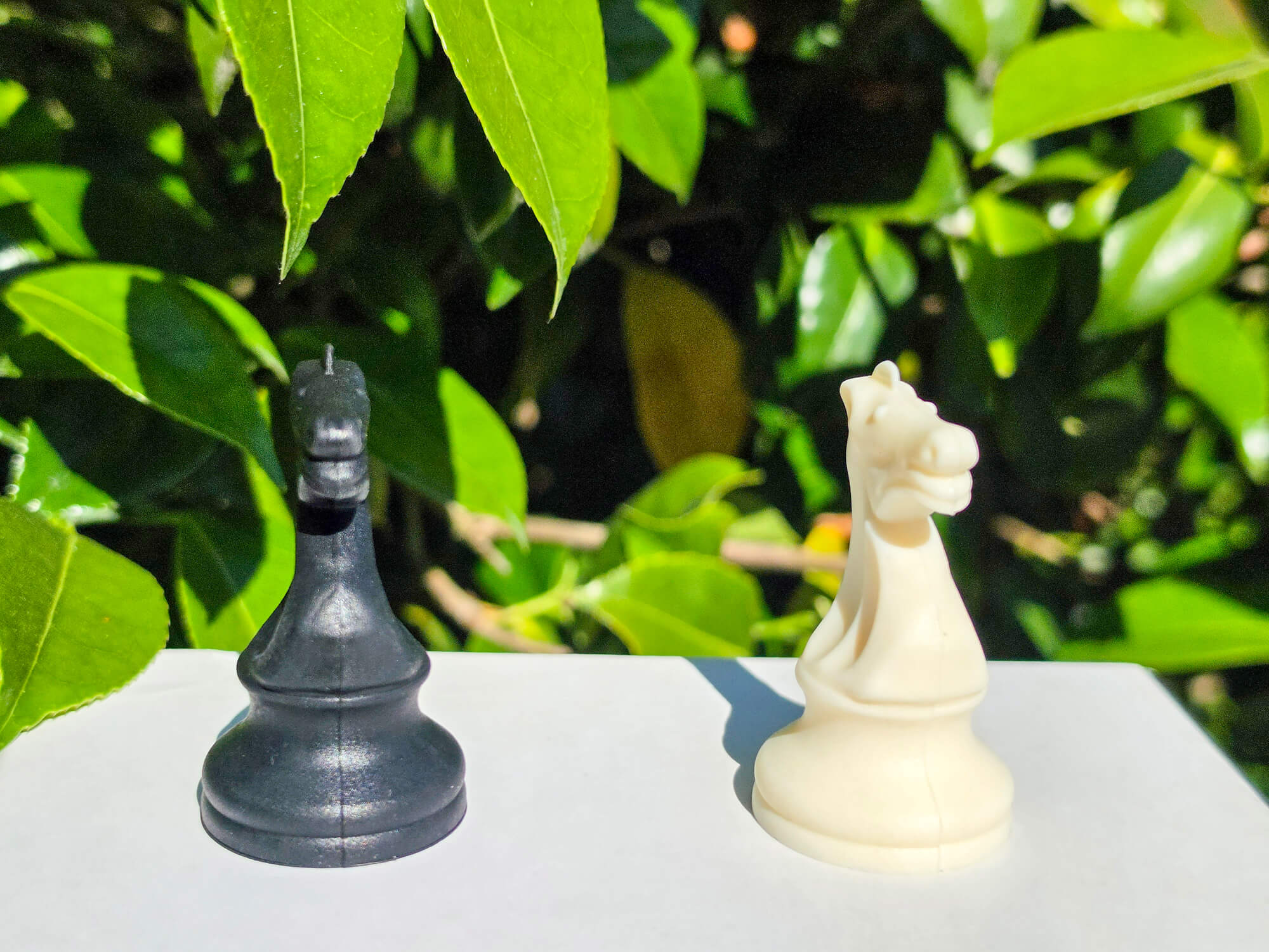 Detailed close-up of black and white silicone chess knight pieces on an outdoor table.