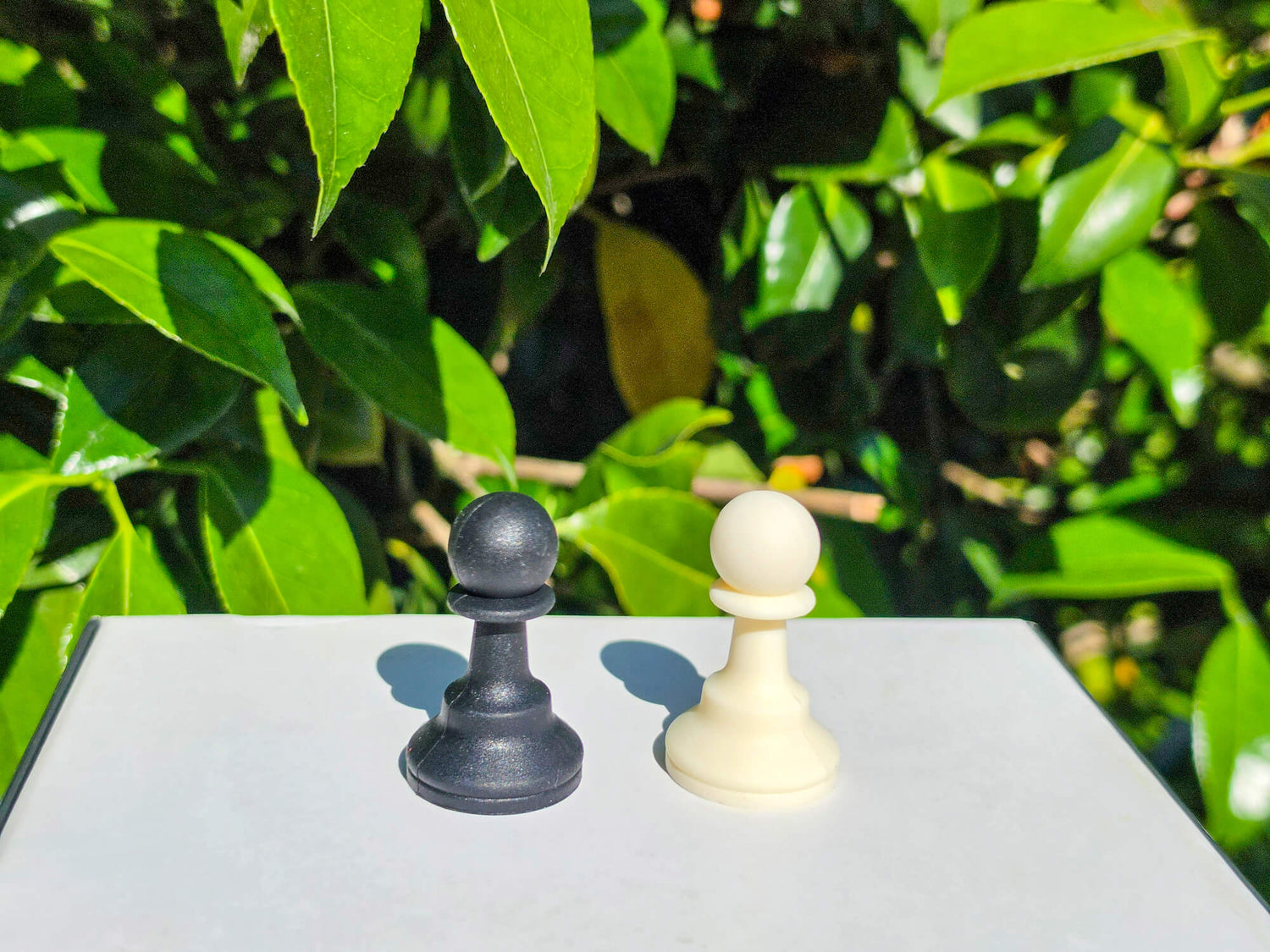Close-up view of black and white silicone chess pawn pieces outdoors.