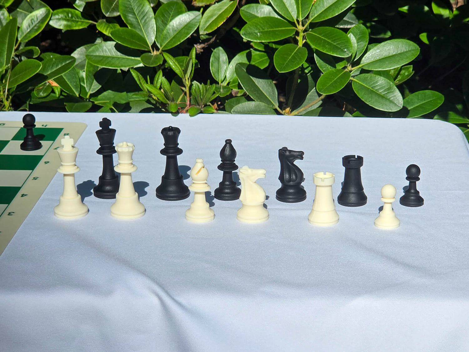 Black and white silicone chess pieces lined up on a display stand with green plants in the background.