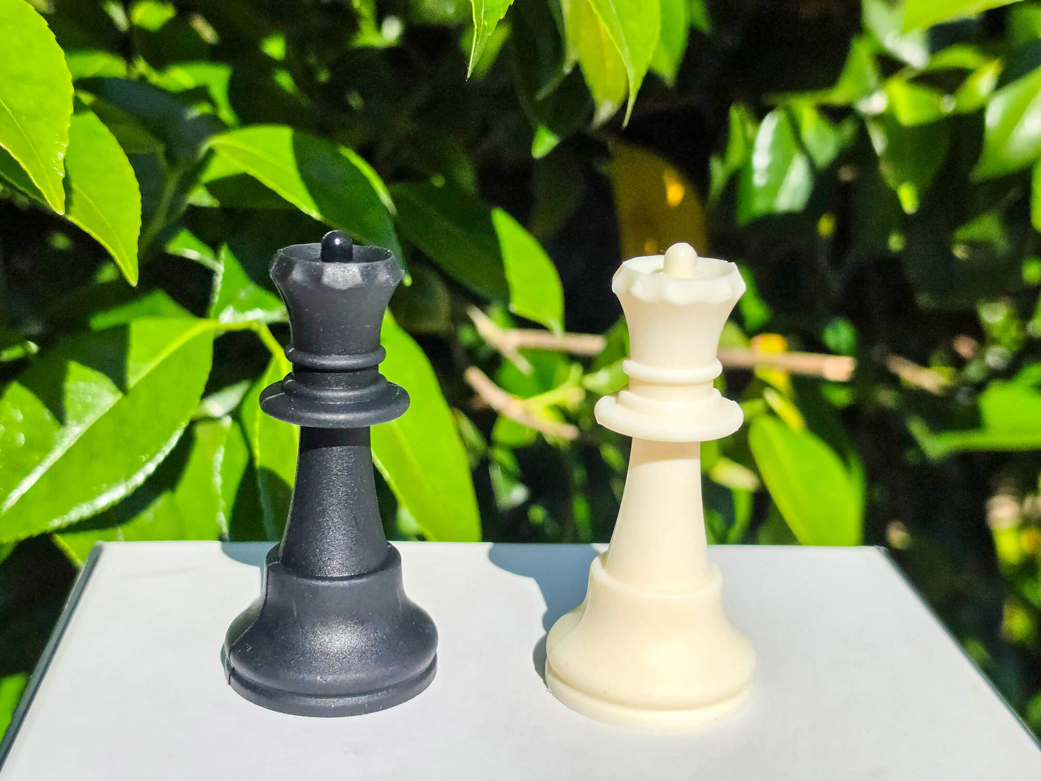 Close-up shot of black and white silicone chess queens set against a green plant background.