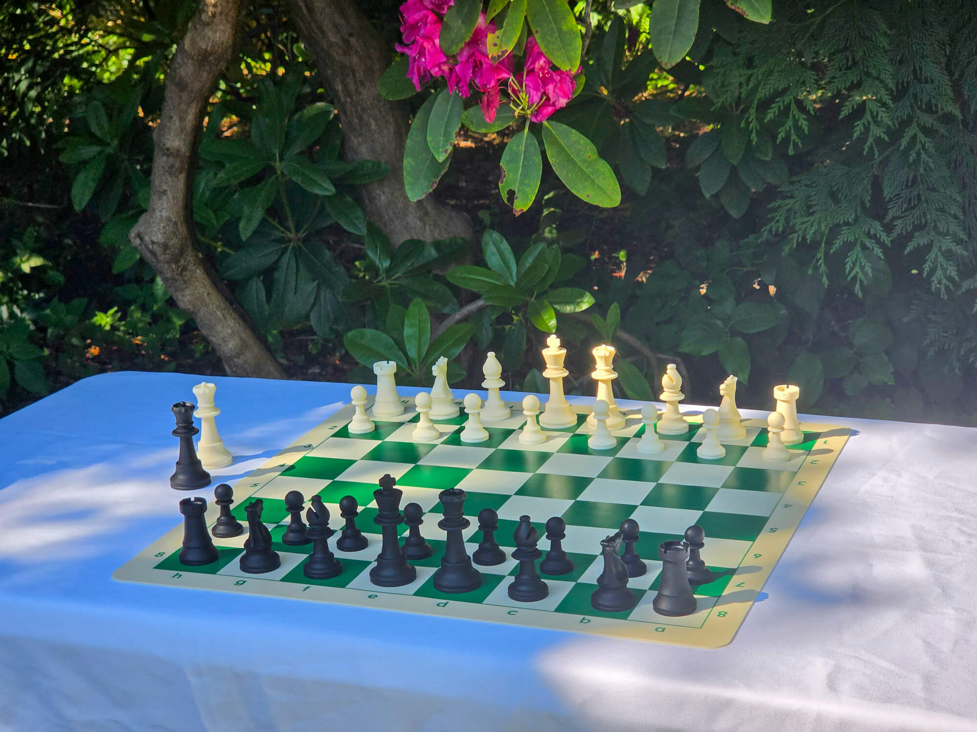 Full silicone chess set with black and white Staunton pieces arranged on the green side of the double-sided board outdoors.