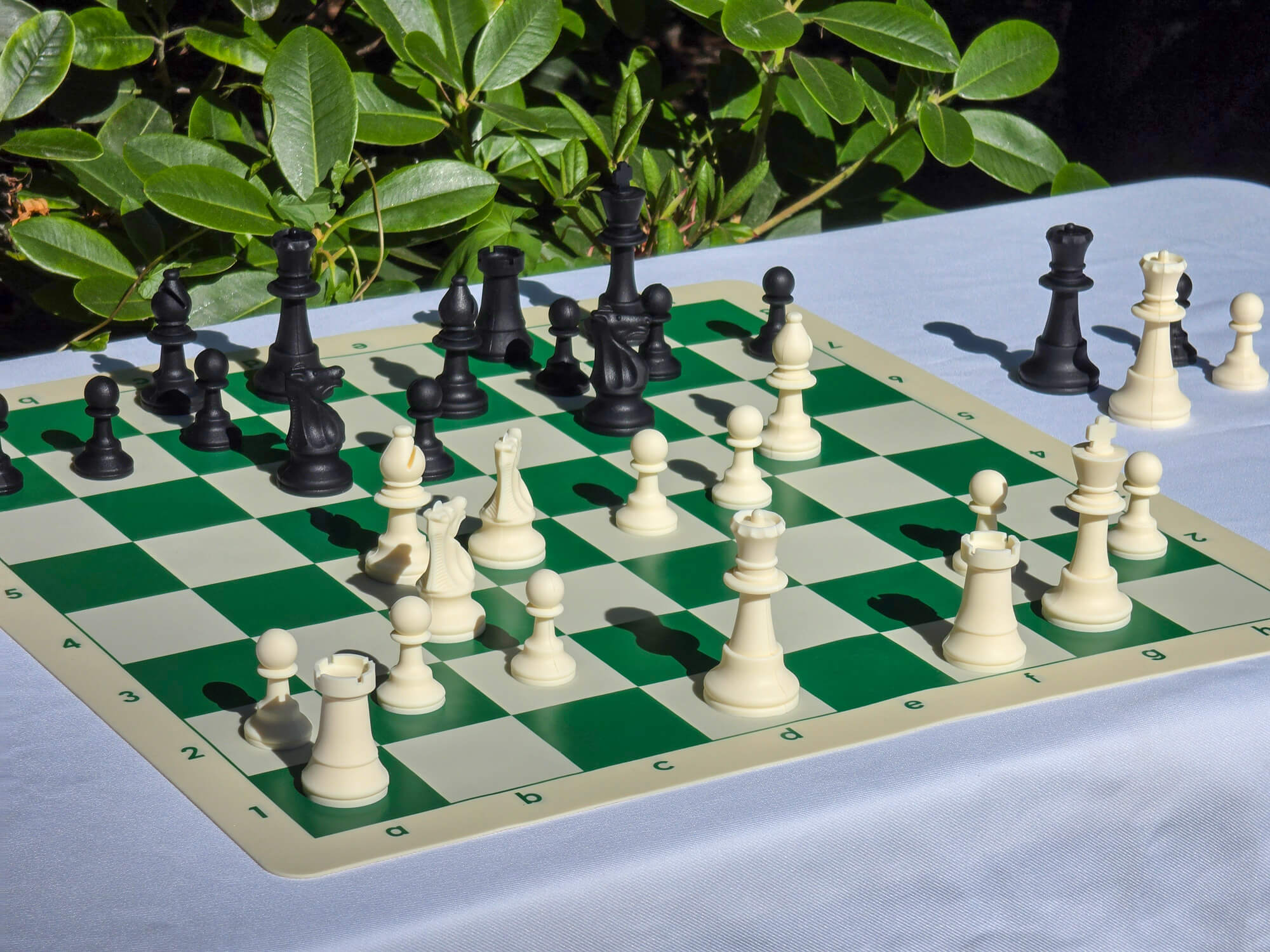 High-angle view of a complete silicone chess set ready for play on a double-sided board with a green plant backdrop.