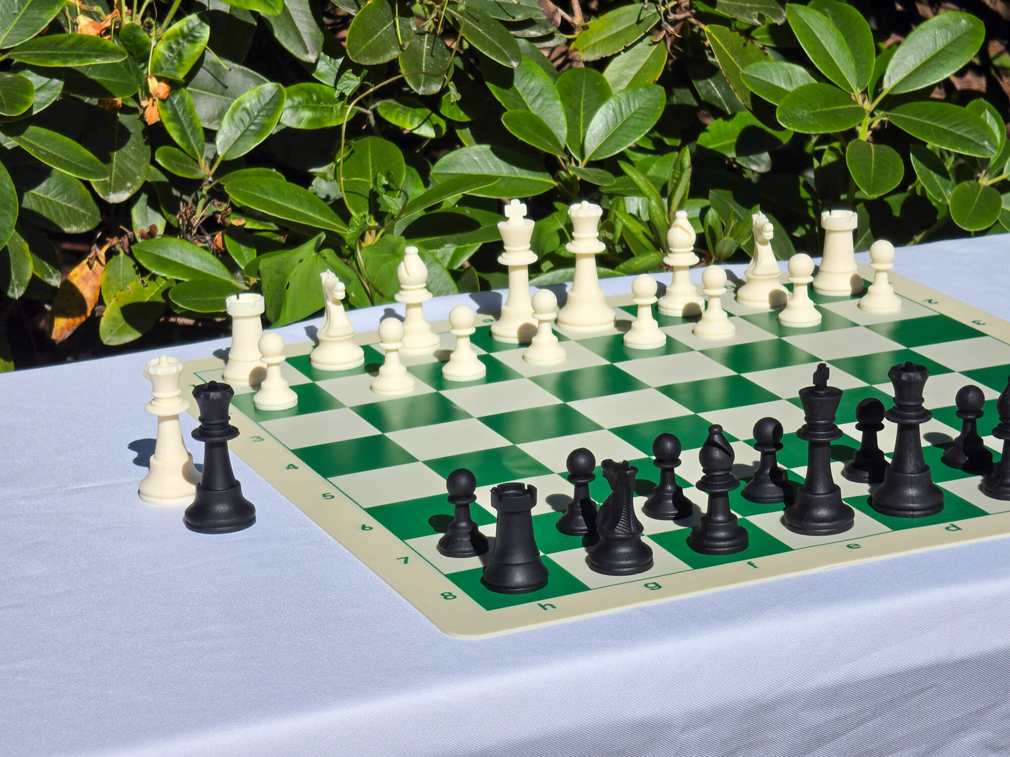 Perspective angle shot of silicone chess pieces set up on a flexible double-sided board against outdoor foliage.